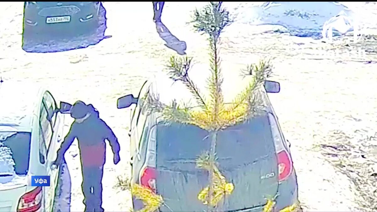    Школьники пытались вскрыть больше десятка машин в Кузнецовском Затоне в Уфе