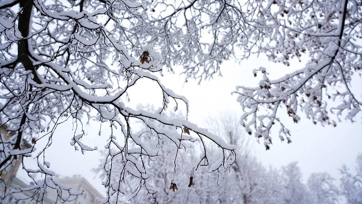    Фото: Александр Авилов / АГН Москва