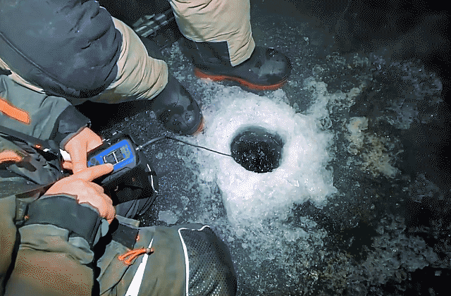 Автор Just Макс Осипов