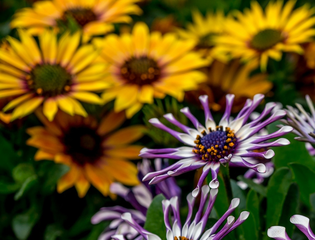    Unsplash