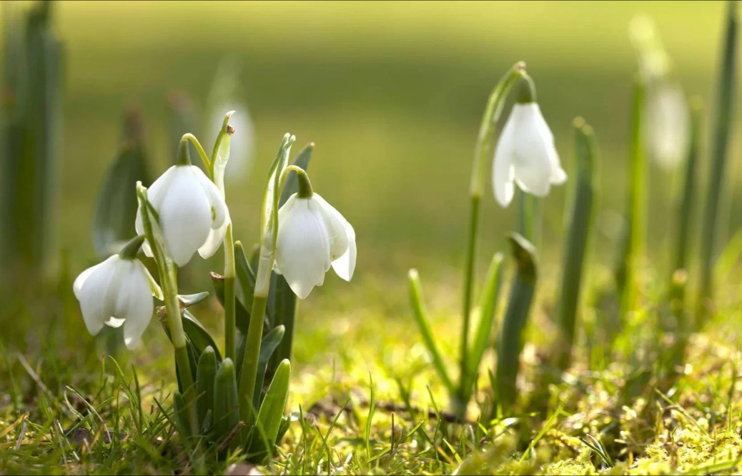 Фото из Интернета