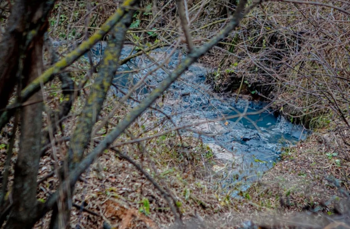 Фото: Владимир Чучадеев
