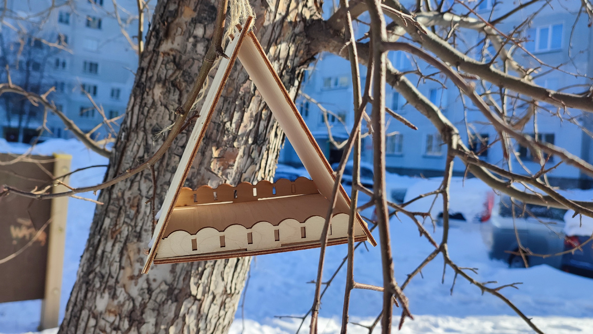 Кормушка во дворе, Новосибирск