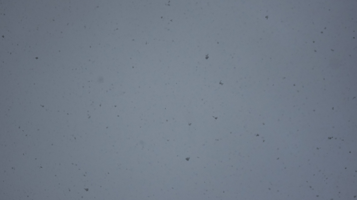     Автор: Антон Засимов Источник: 1MI