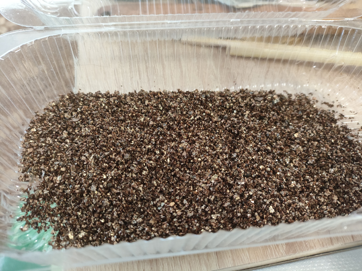 На дно плошек вермикулит насыпала в качестве дренажа