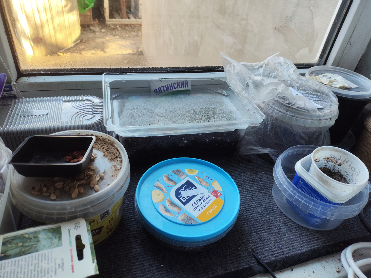 Две большие плошки с луком, остальное - перцы и баклажаны.