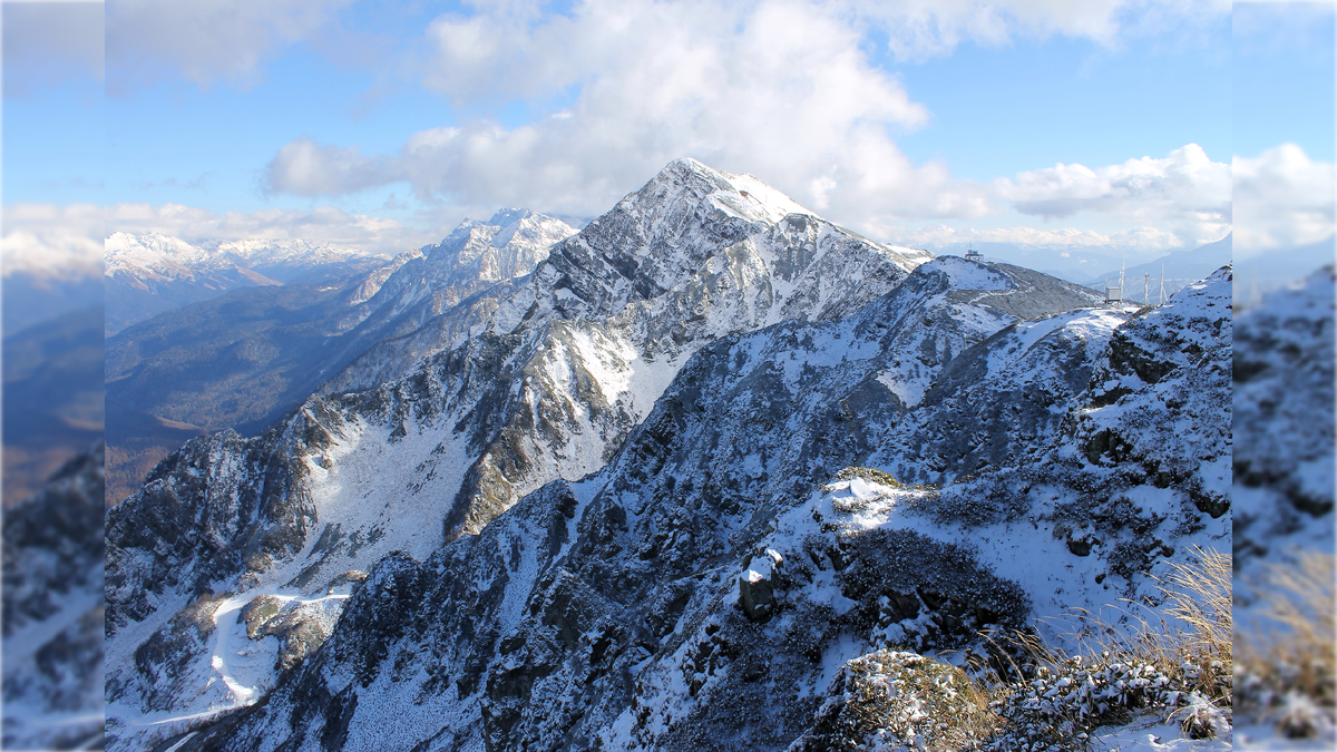 Фото: wikipedia.ru