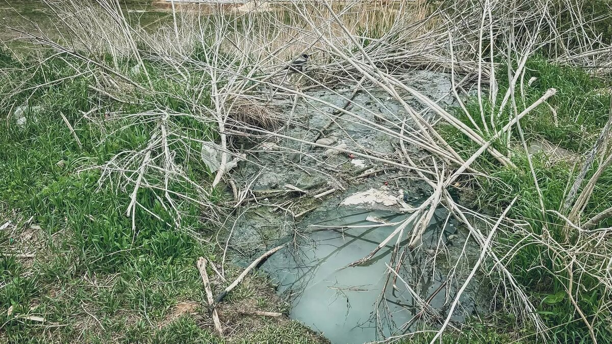     Источник: novostivolgograda.ru