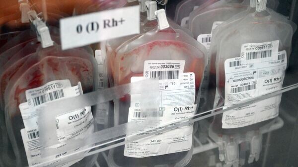    © Sputnik / Илья Питалев