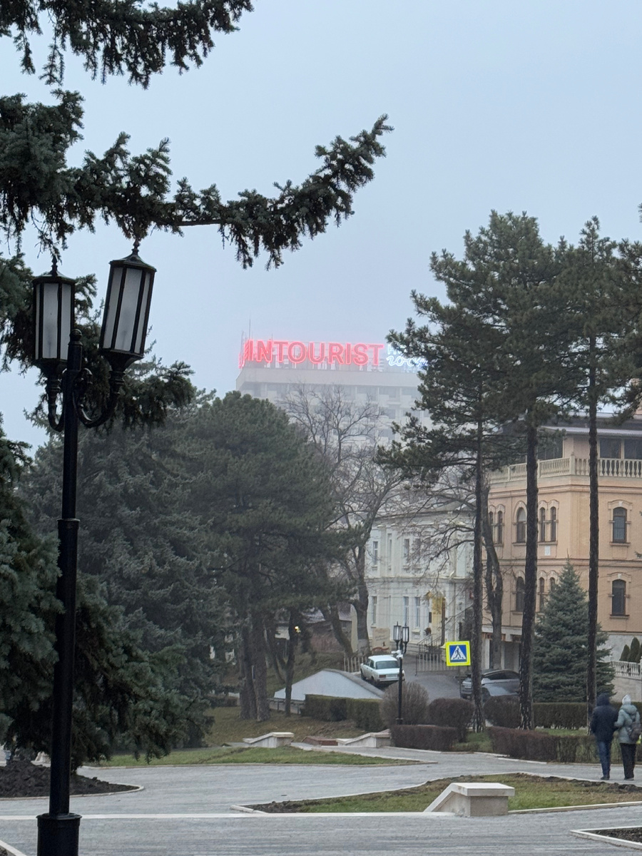 Соседний Пятигорск имеет свой «Интурист», фото Сад в стиле Paradise @