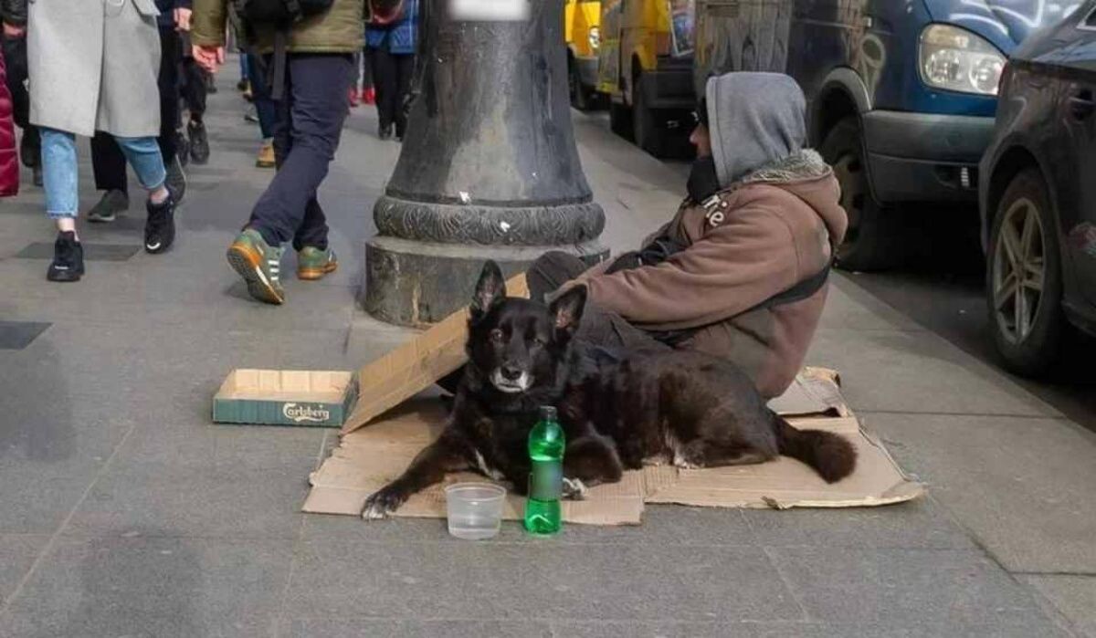     Бомж. Источник: kp.ru Автор фото: Олег Золото