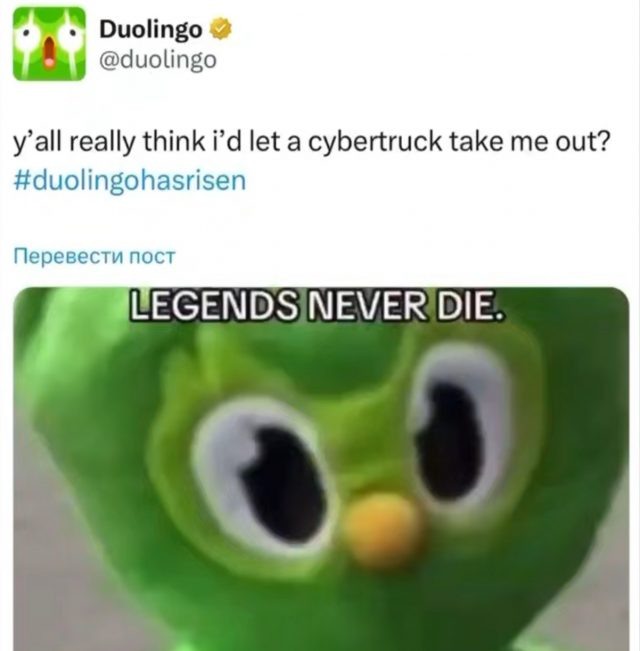    Фото: социальные сети