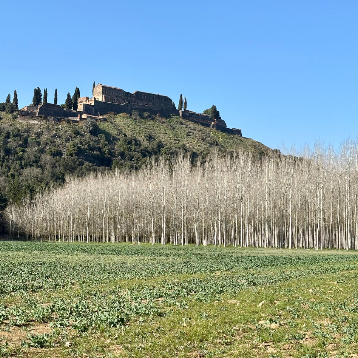 Остальрик. Испания. Февраль. 2025 год