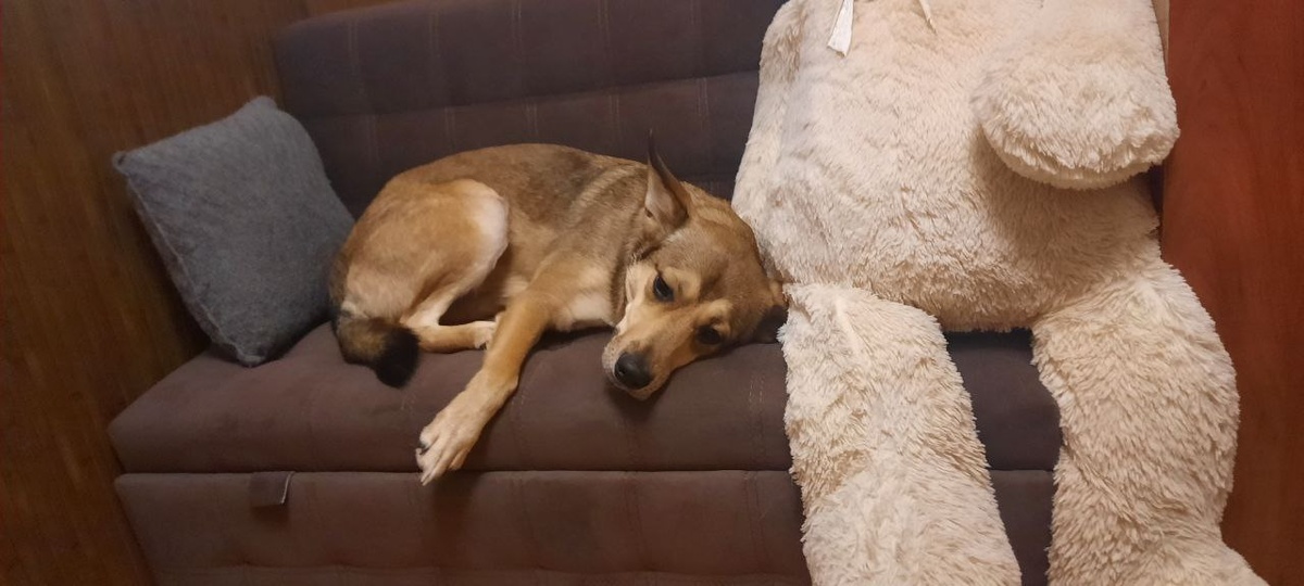 Та самая Туся