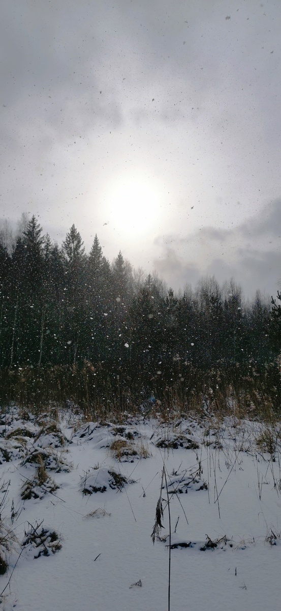 Редкий снегопад в феврале 2025 года. 