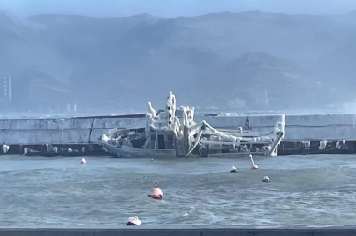    Под тяжестью льда.