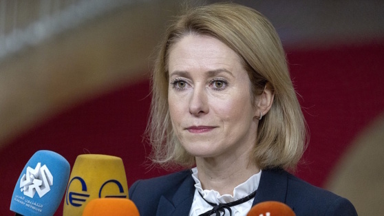    Каллас: у стран ЕС нет согласия о конфискации российских активов Алина Городниченко