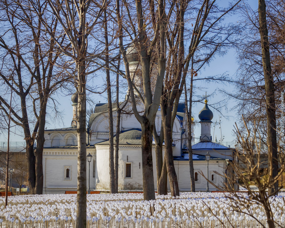 2. Цветы зимние — элехтрические... © NickFW.ru — 24.02.2025г.