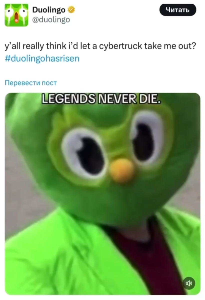 Duolingo «воскрес» в X (Twitter)