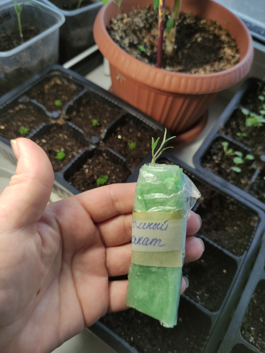 Три из трёх,100%