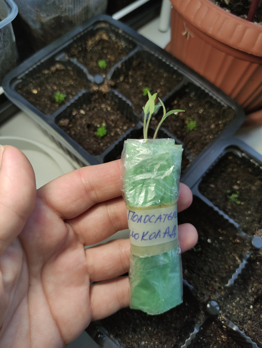 Три из трёх 