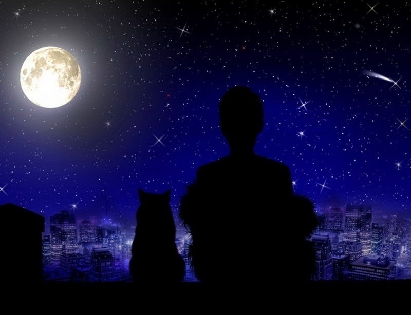 фото из интернета