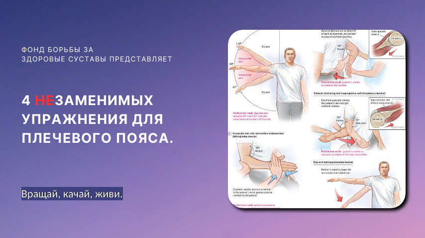 ЛФК при болях в плече.
