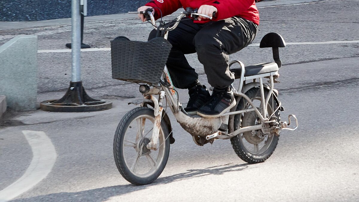    Фото: Petrov Sergey/globallookpress.com