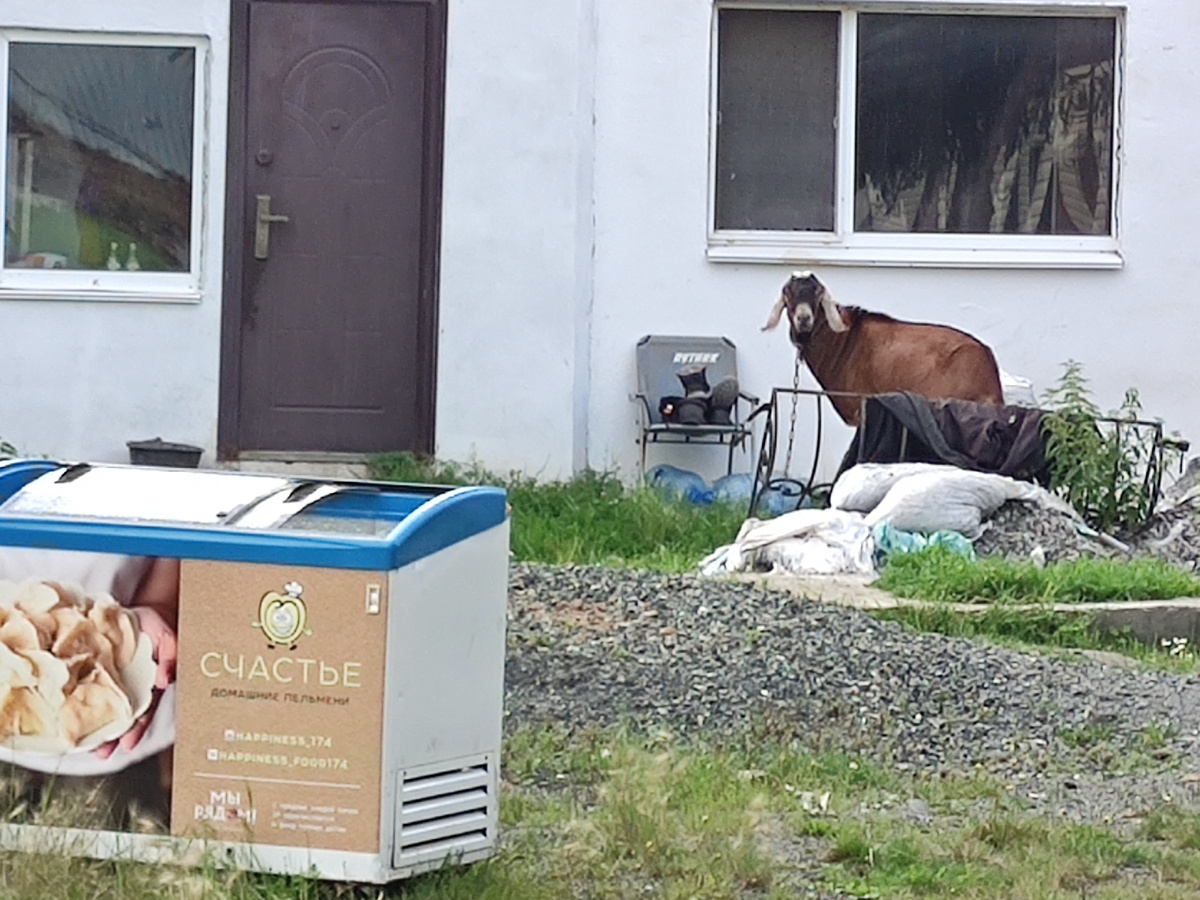 Фото автора