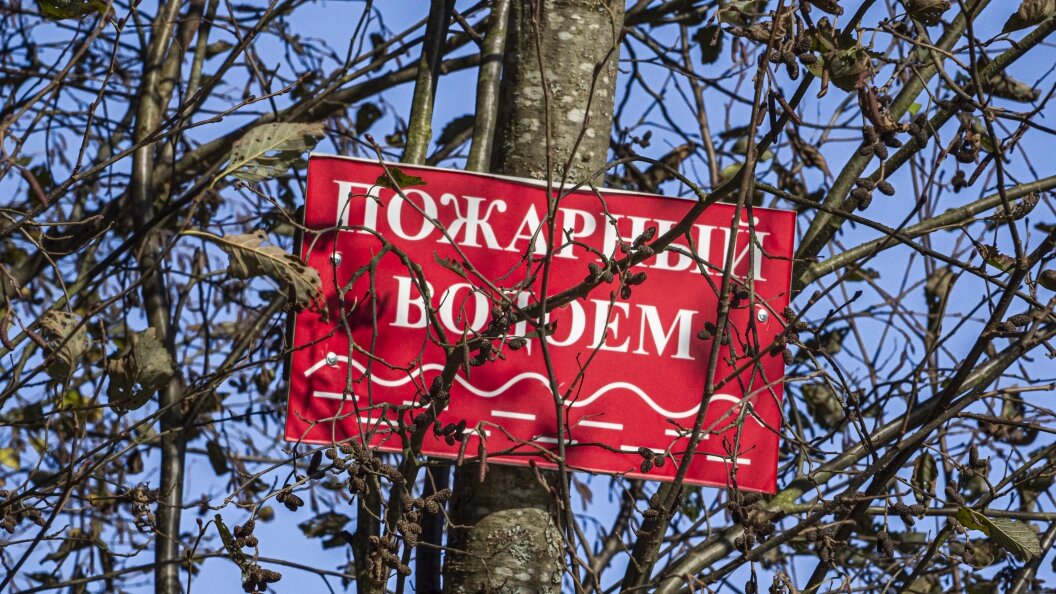    Фото: Konstantin Kokoshkin/Global Look Press