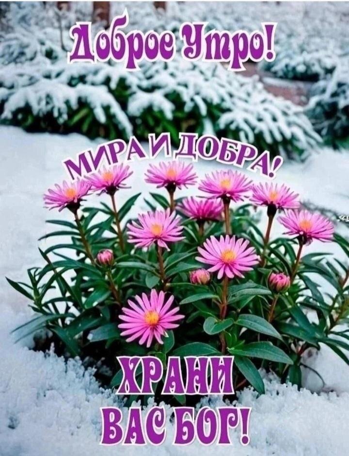 Глаза зеркало души, а голос сердца