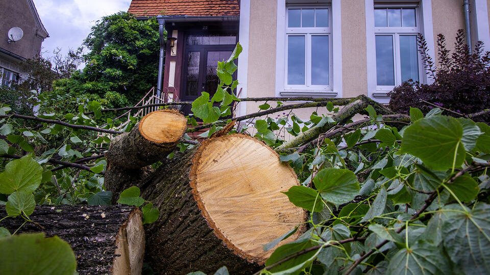Фото: © Global Look Press/Jens Büttner/dpa