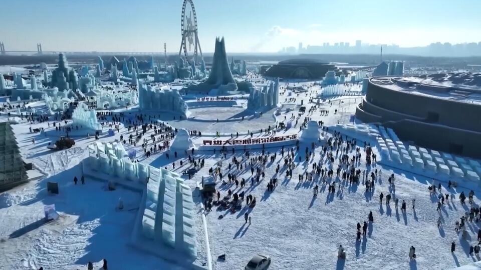 Фото: © Кадр из программы "Невероятно интересные истории", РЕН ТВ