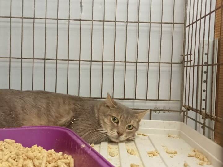 UPD Уехал ДОМОЙ, держим кулачки! Молодой и красивый, но ему предстоит жить в подвале