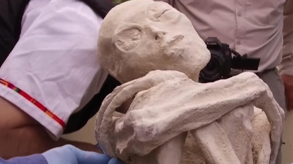 Фото: © Кадр из программы "Загадки человечества", РЕН ТВ