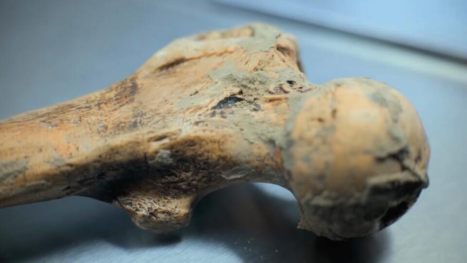 Фото: © Кадр из программы "Загадки человечества", РЕН ТВ