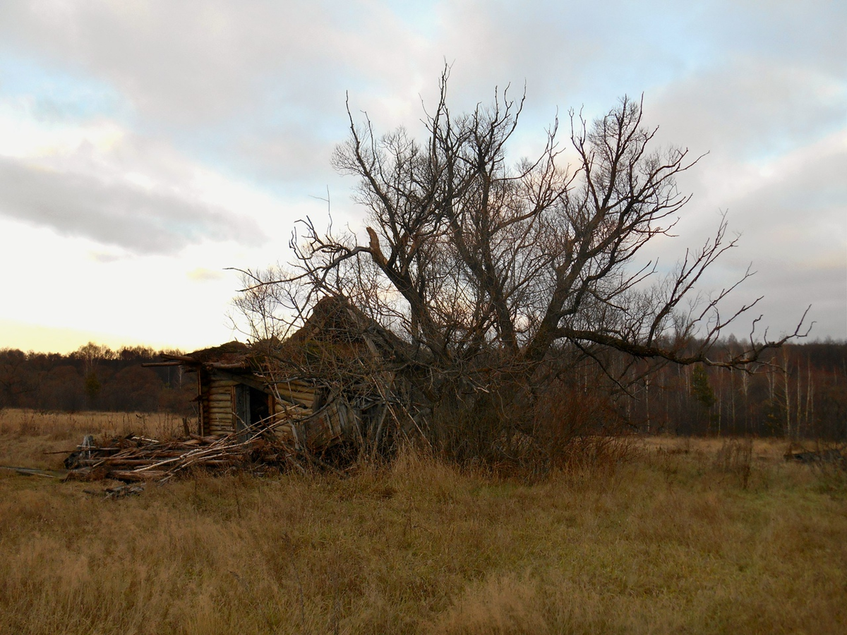Деревня Хмелина в нынешнее время. ph: @the_abandoned_world