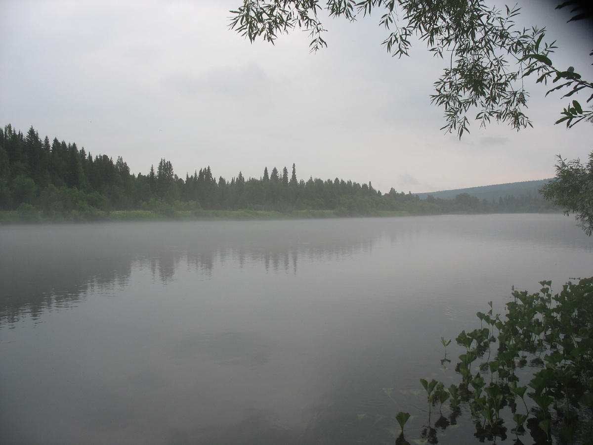 Река Вишера