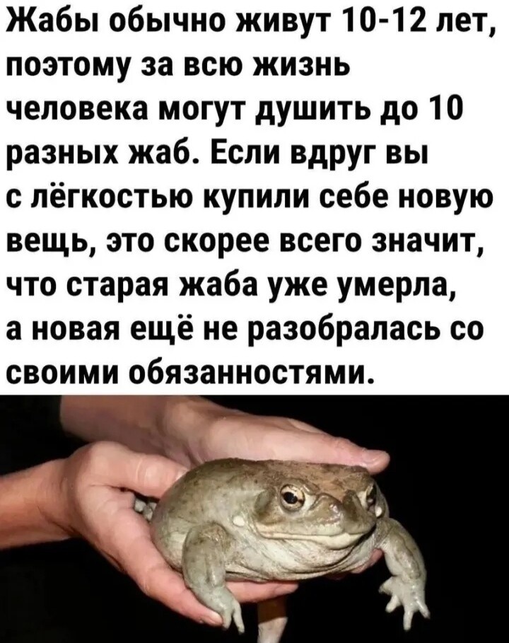 Что?! Новая жаба на подходе?! Ну уж нет!