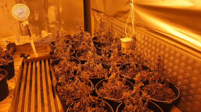 Фото: пресс-службп УФСБ по Санкт-Петербургу и Ленинградской области