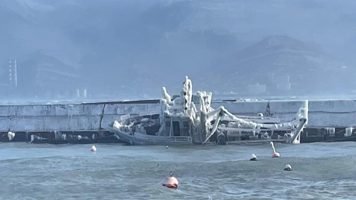    Фото: t.me/prokutp