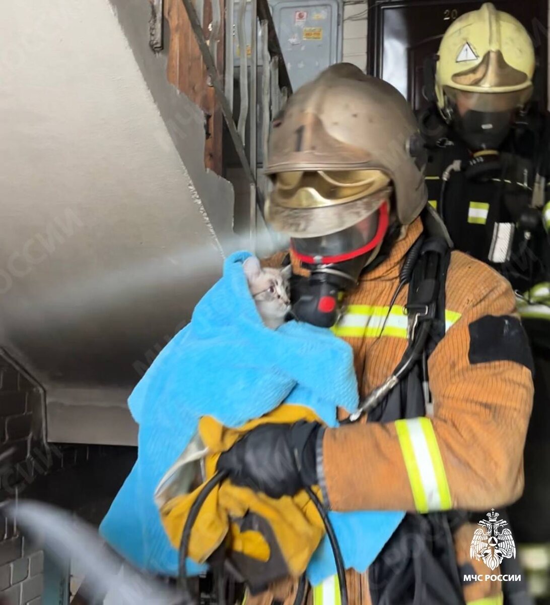    Фото: МЧС Карелии