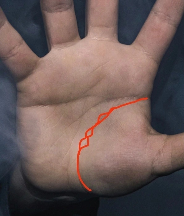 Фото из интернета 