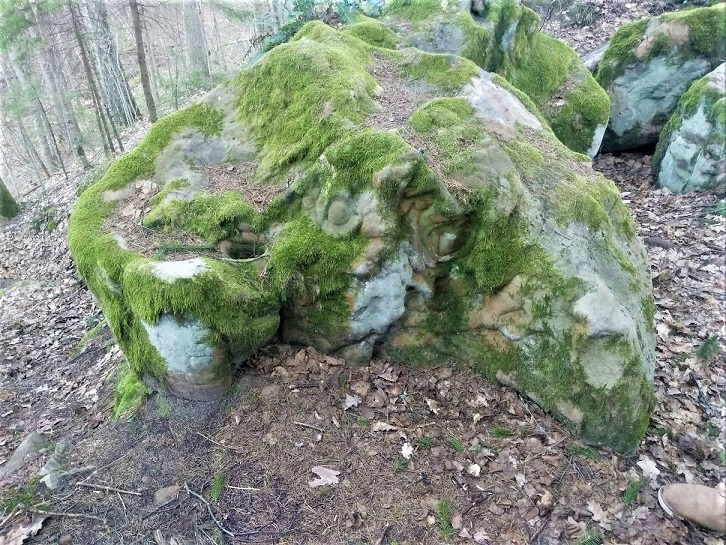 Камни Чёртова городища