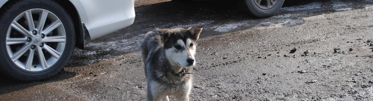    Фото: Анна Григор