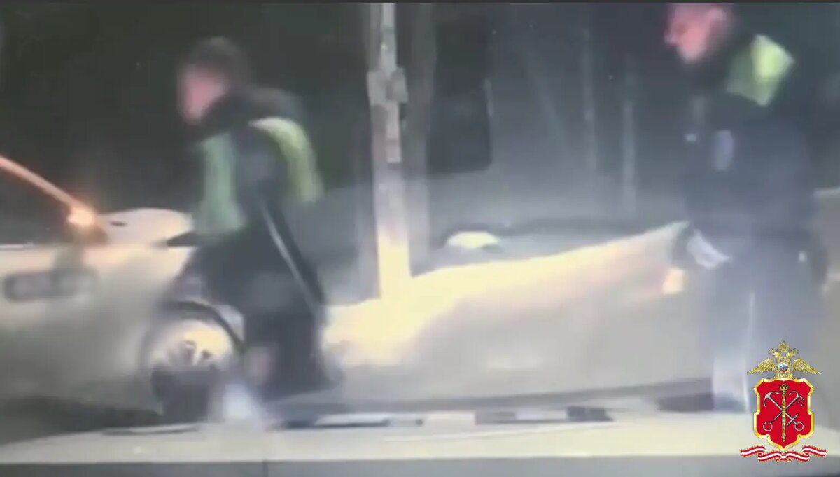    Фото: стоп-кадр видео пресс-службы ГУ МВД по Петербургу и Ленобласти