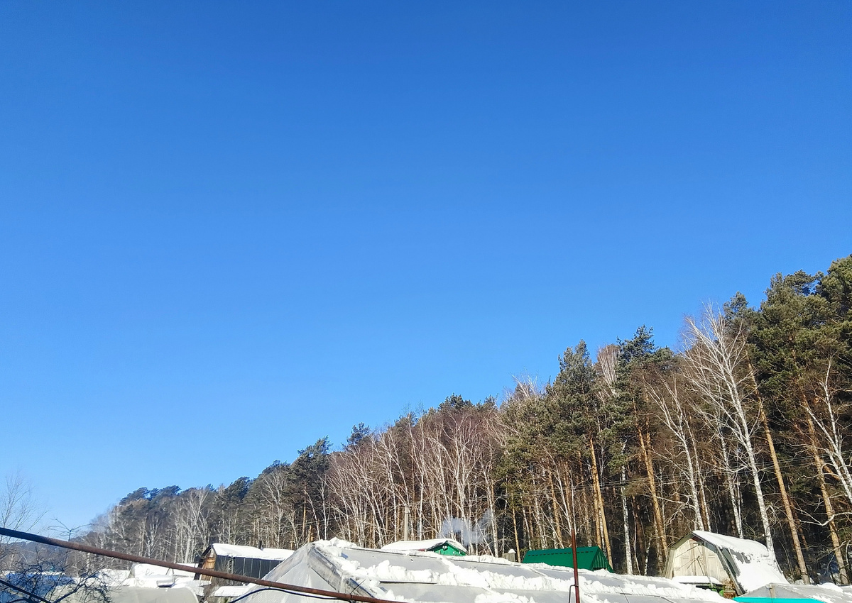 День у нас снова был солнечный 