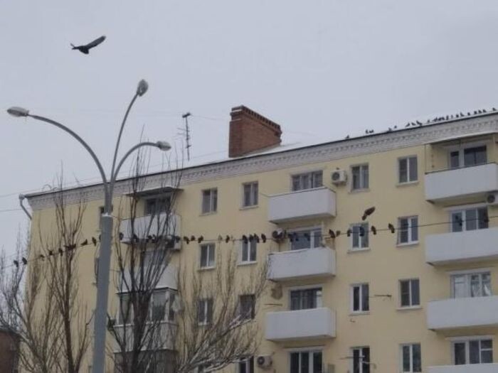 Источник фото: © «Панорама»