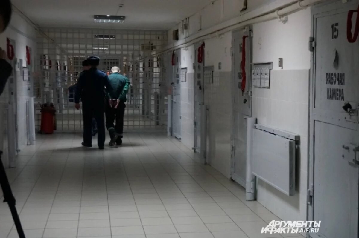    Вскрылись подробности о подозреваемых в изнасиловании девочки в Прикамье