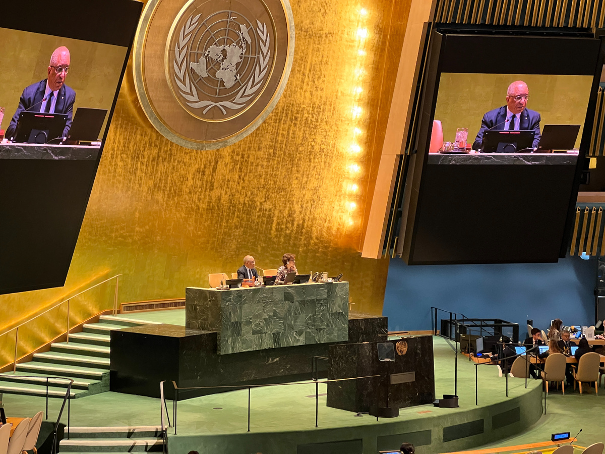 © Денис Соловых/ ТАСС